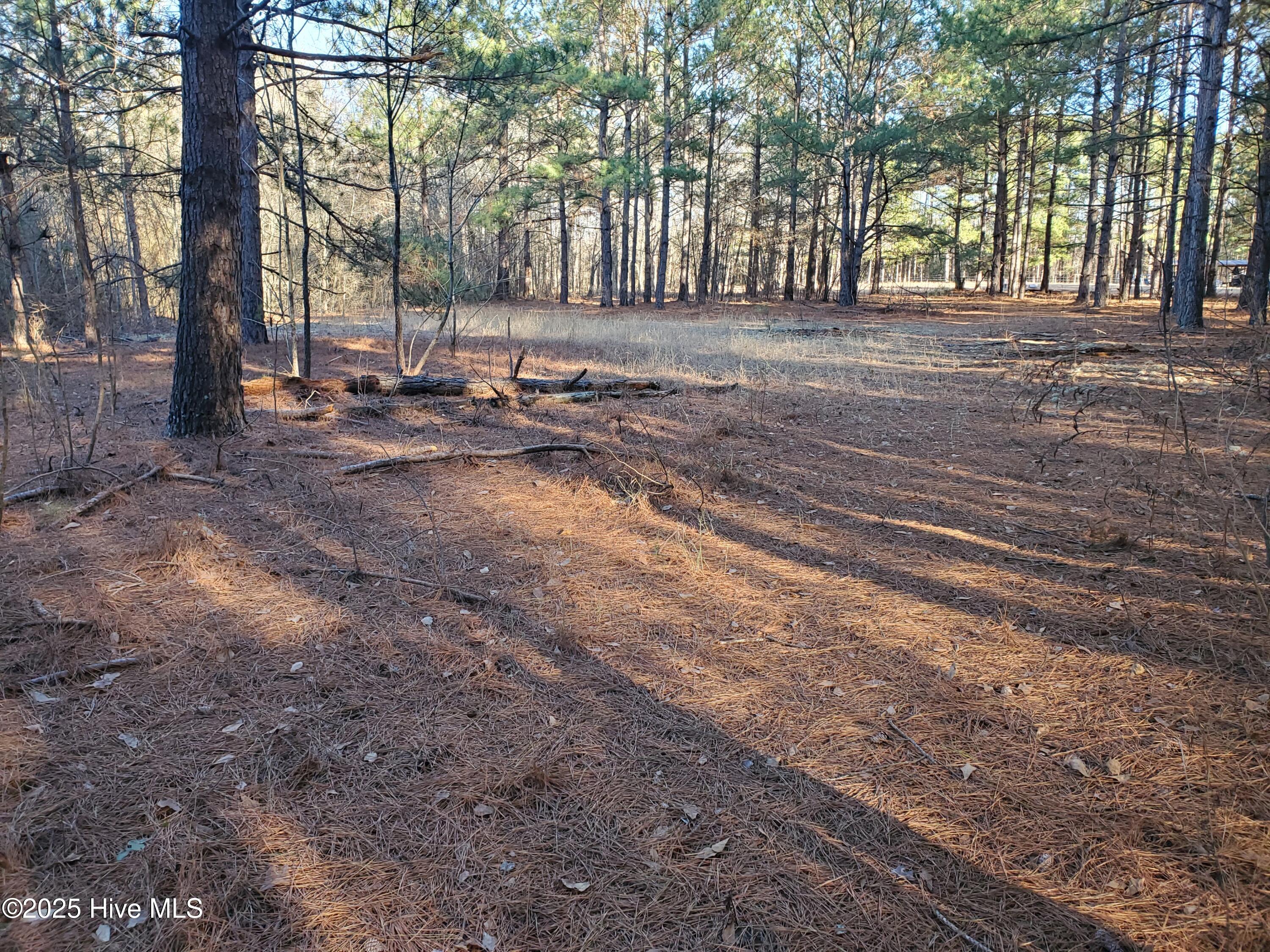 Tbd Crestline Road Laurinburg, NC 28352 - Photo 6 of 11 Cleared area