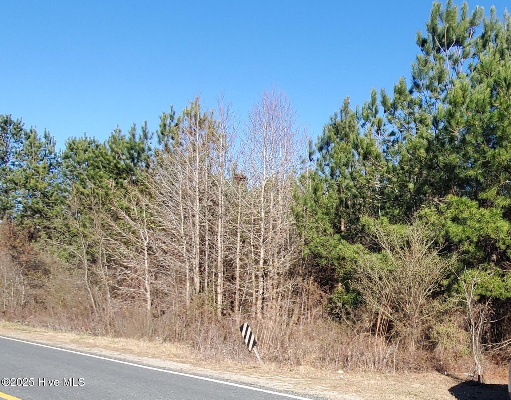 Tbd Crestline Road Laurinburg, NC 28352 - Photo 10 of 11 Road frontage