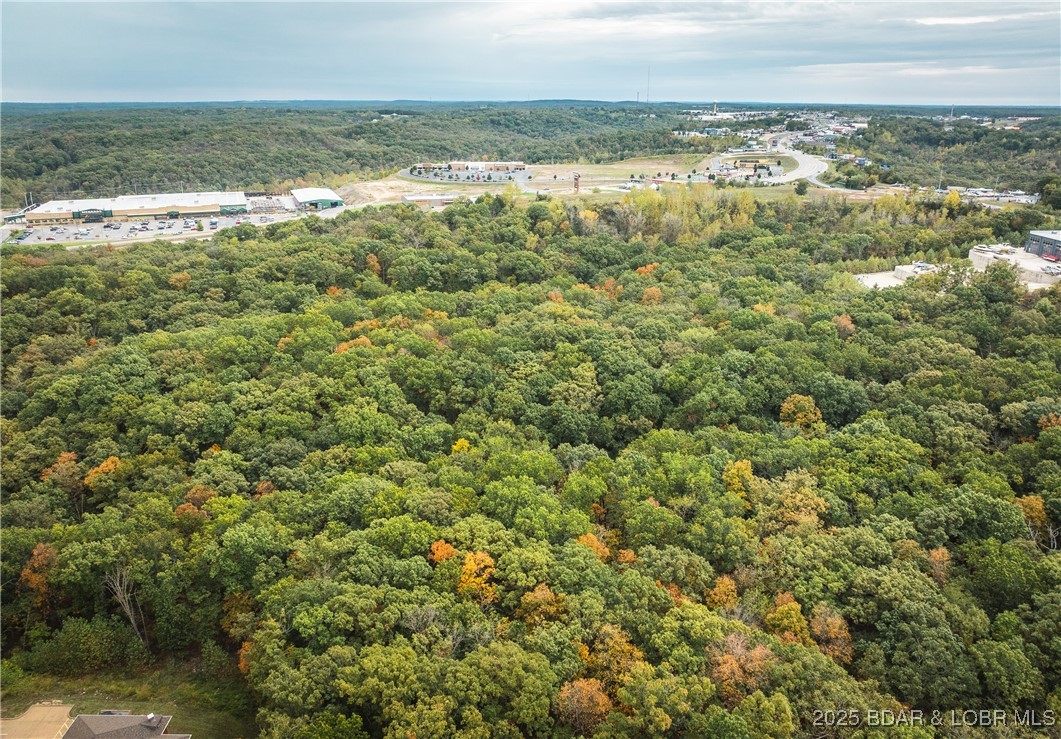 126 Fish Haven Road Lake Ozark, MO 65049 - Photo 14 of 47