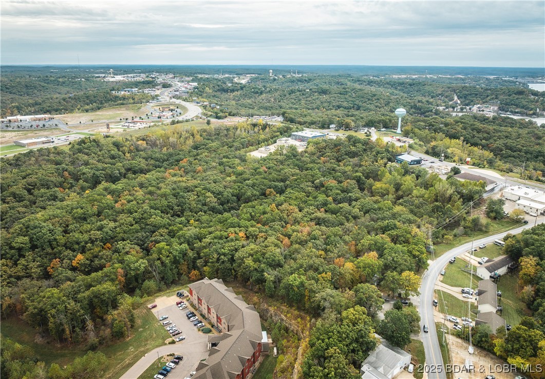126 Fish Haven Road Lake Ozark, MO 65049 - Photo 5 of 47