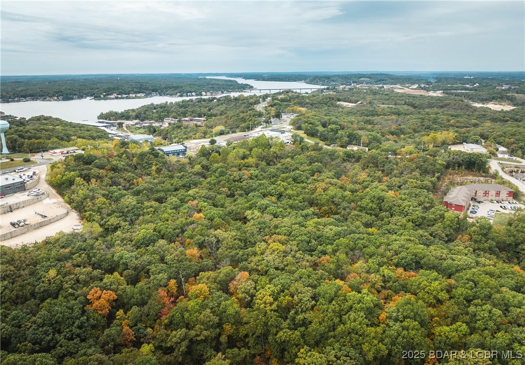 126 Fish Haven Road Lake Ozark, MO 65049 - Photo 9 of 47