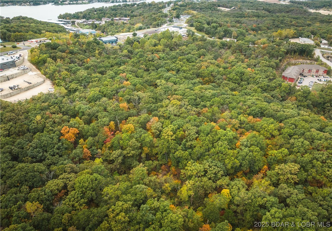 126 Fish Haven Road Lake Ozark, MO 65049 - Photo 10 of 47