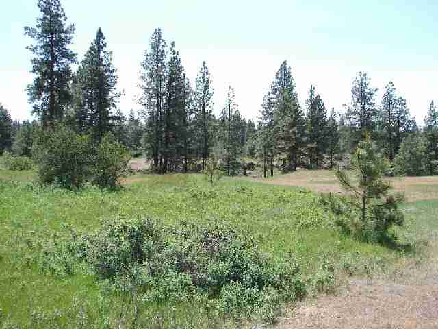 0 West Williams Lake Road, Unit LOT 8 Cheney, WA 99004 - Photo 2 of 5