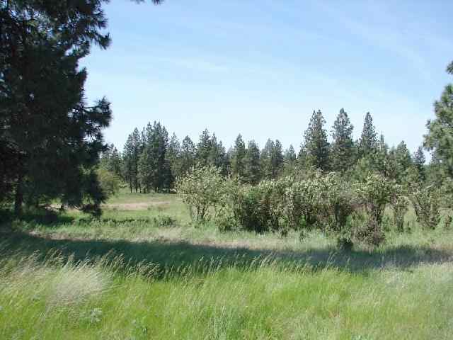 0 West Williams Lake Road, Unit LOT 8 Cheney, WA 99004 - Photo 3 of 5