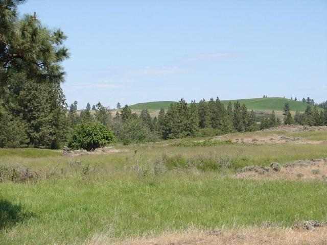 0 West Williams Lake Road, Unit LOT 8 Cheney, WA 99004 - Photo 4 of 5