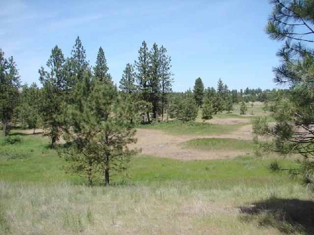 0 West Williams Lake Road, Unit LOT 8 Cheney, WA 99004 - Photo 5 of 5