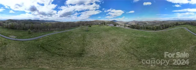 a view of a field with an tree