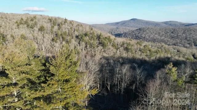a view of a dry yard with mountains in the background