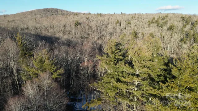 a view of a dry yard with trees