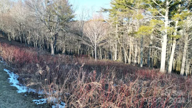 a view of a outdoor space