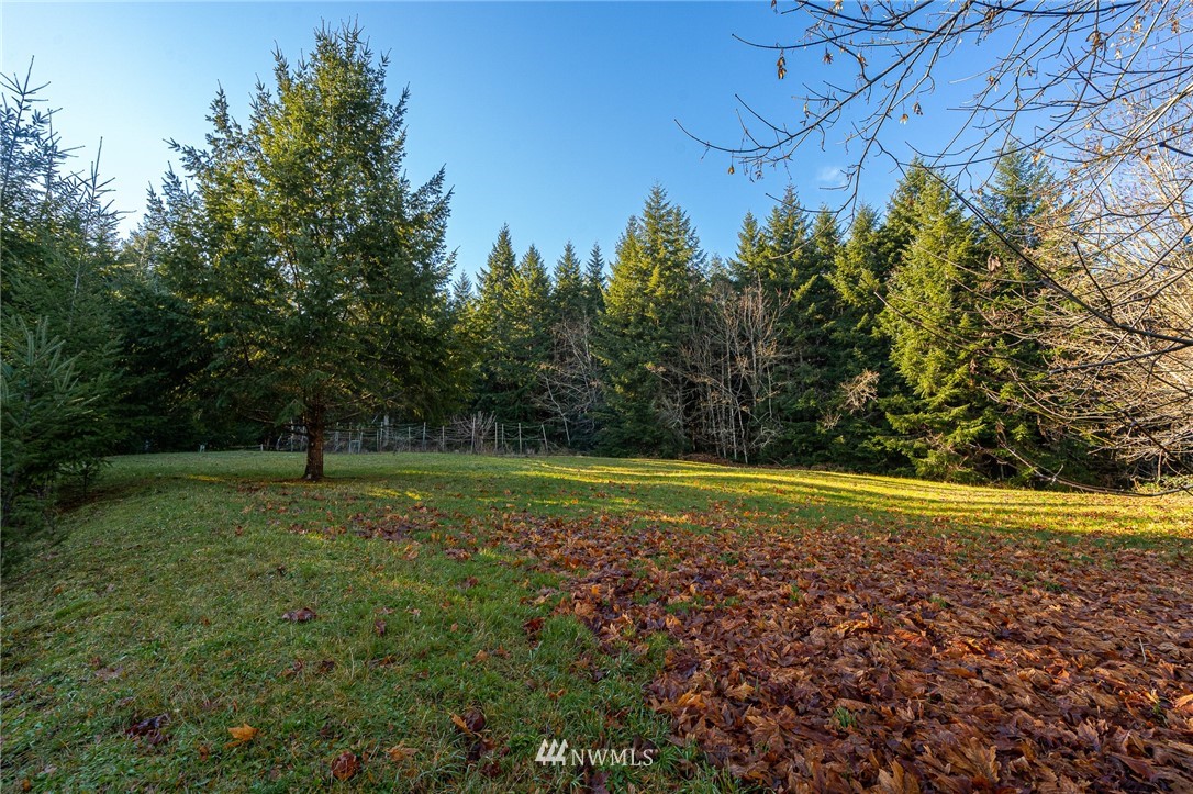 159 Peregrine Creek Road Chehalis, WA 98532 - Photo 30 of 40