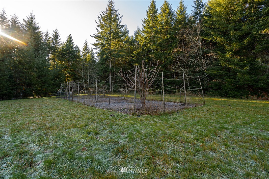 159 Peregrine Creek Road Chehalis, WA 98532 - Photo 31 of 40
