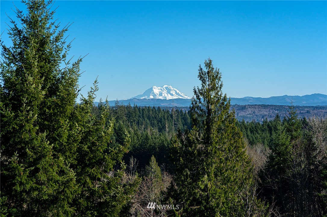 159 Peregrine Creek Road Chehalis, WA 98532 - Photo 5 of 40
