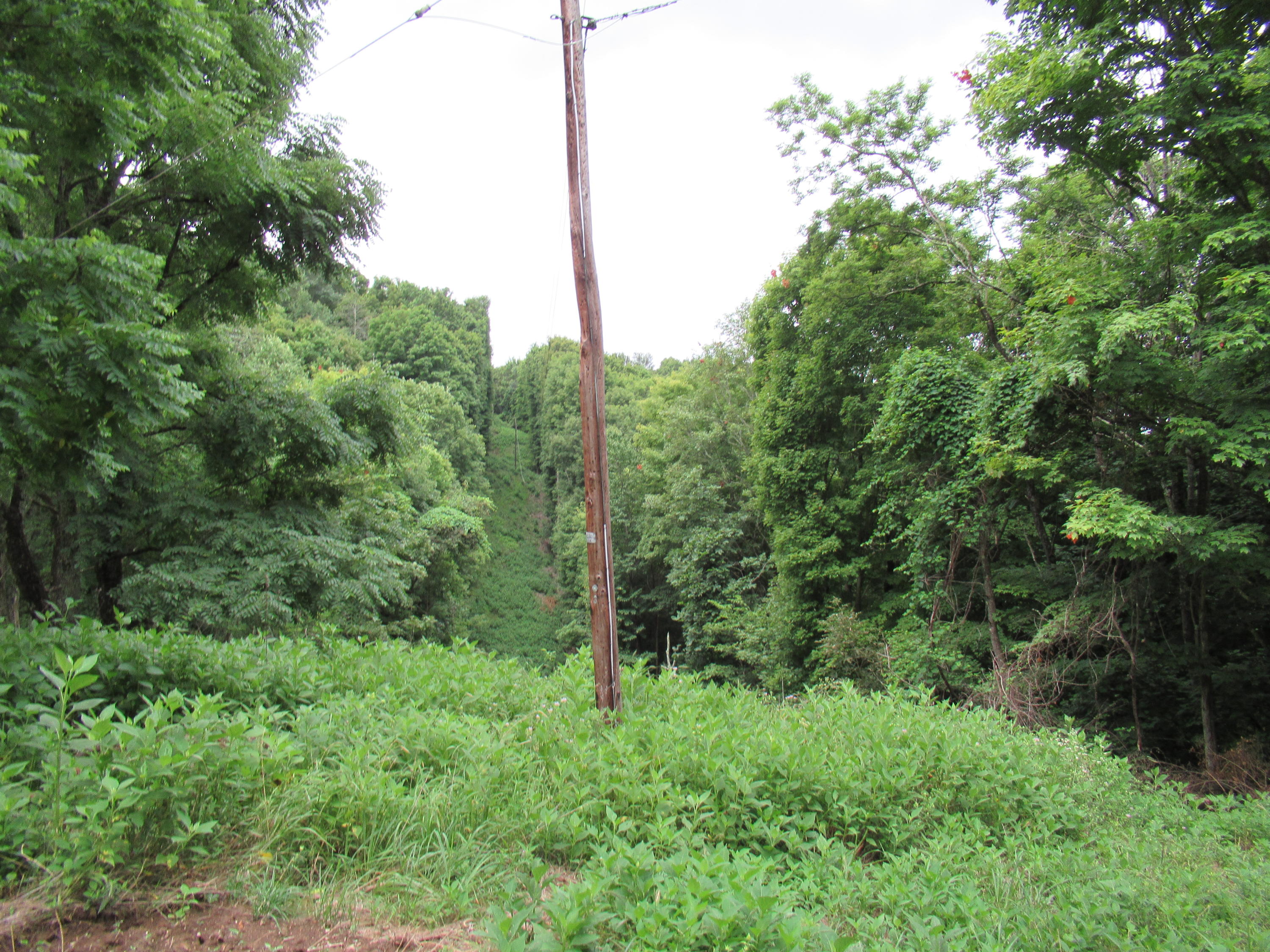 Knobbs Rd Union Union, WV 24983 - Photo 25 of 47 Gallery Image 25