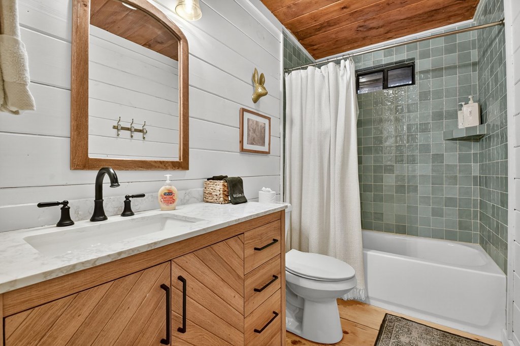 50 Lake View Drive Cherry Log, GA 30522 - Photo 19 of 27 a bathroom with a sink a toilet and shower