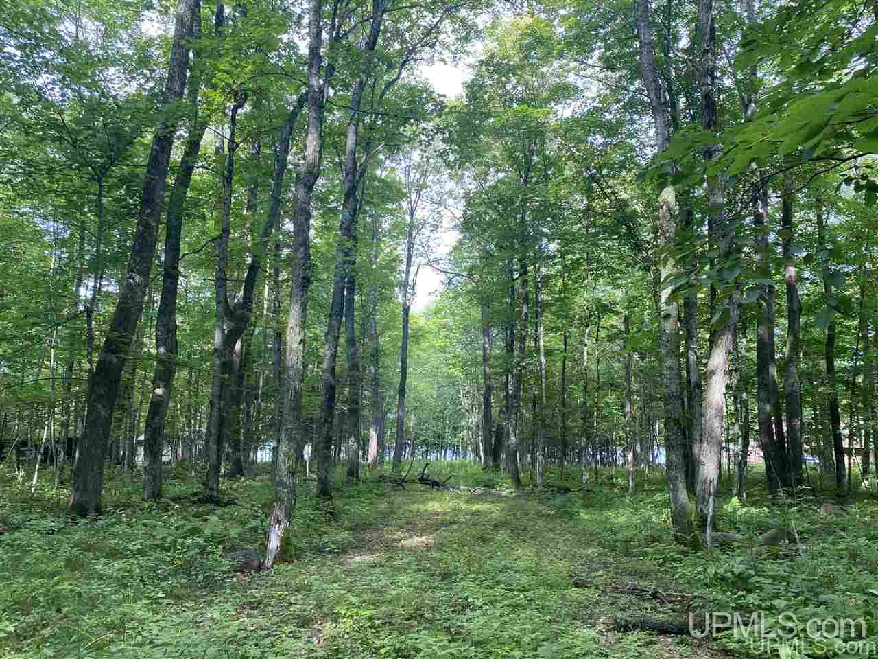 Lot #b Lot Road Marenisco, MI 49947 - Photo 4 of 11
