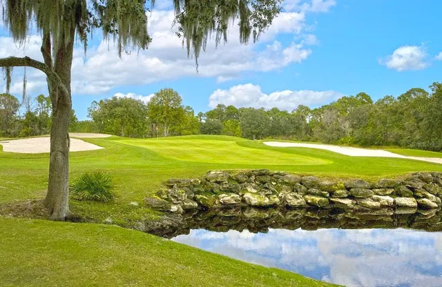 a view of an ocean and beach