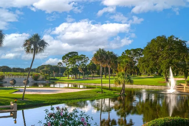 a view of a park and trees in the background