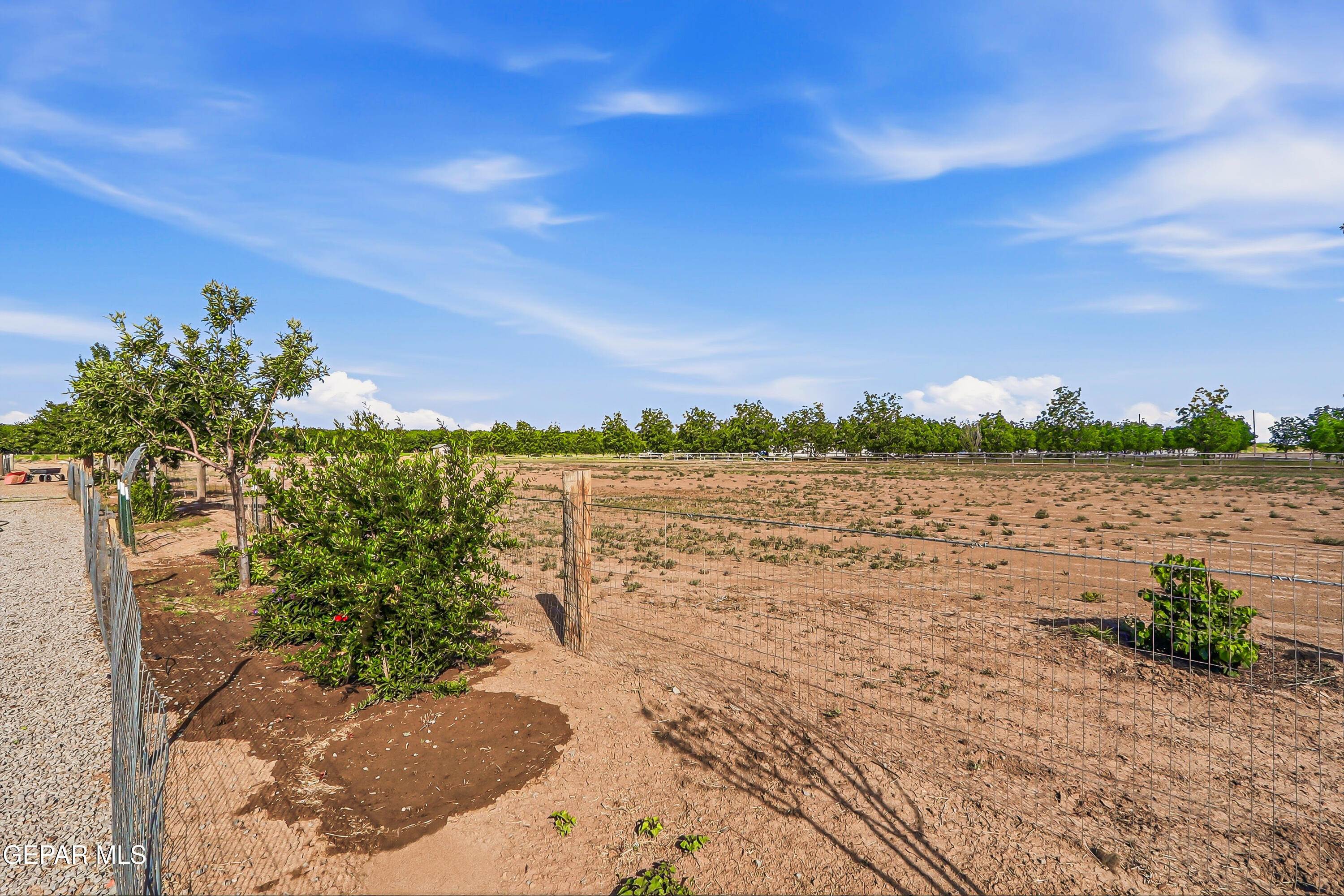 2634 West Ohara Road Anthony, NM 88021 - Photo 58 of 94 58-print-IMG_8710