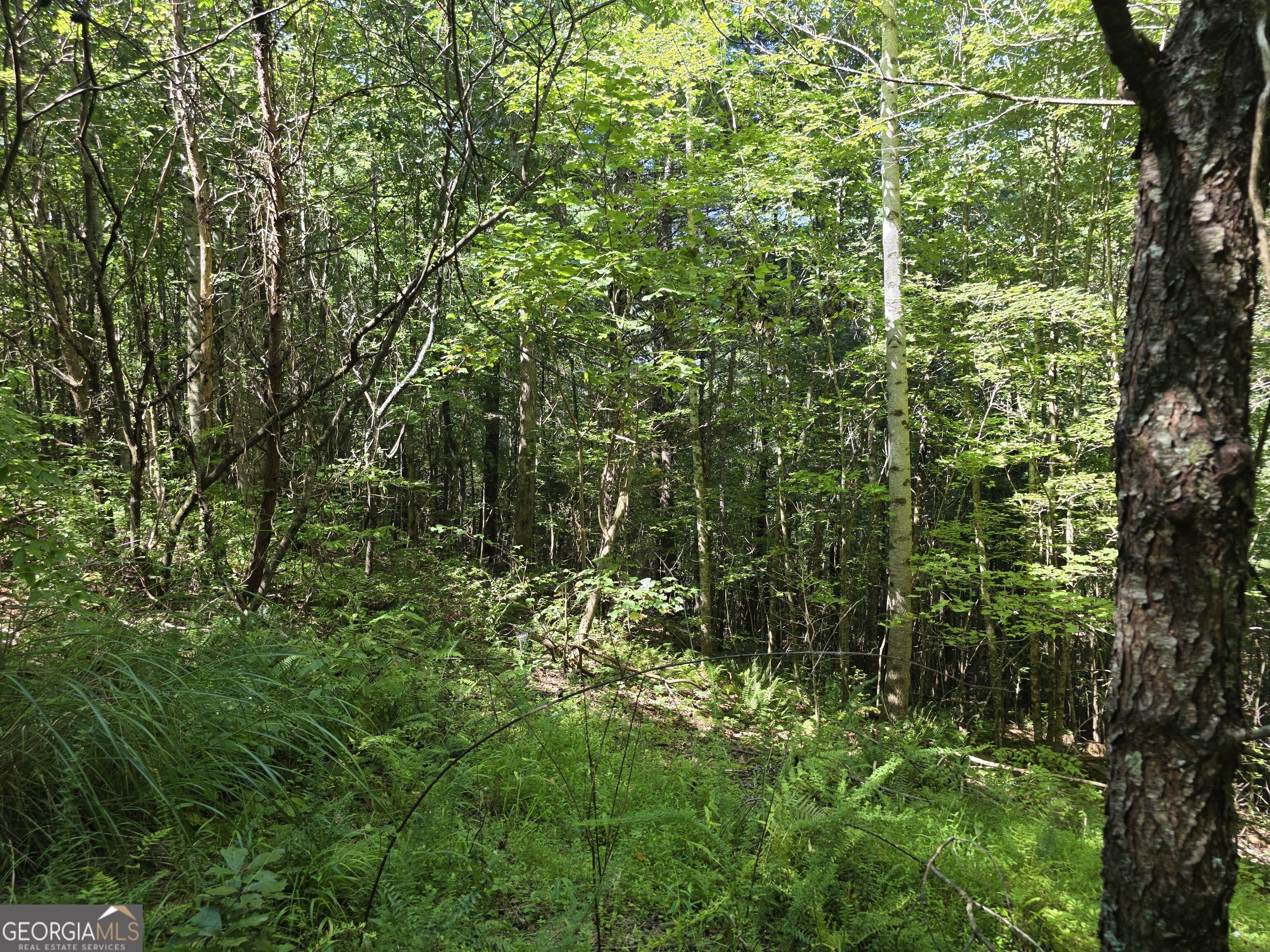 34.98 Hall Road Turtletown, TN 37391 - Photo 45 of 47 Gallery Image 45