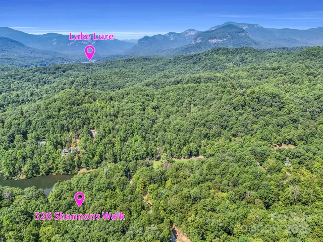 a view of a lush green hillside and a houses