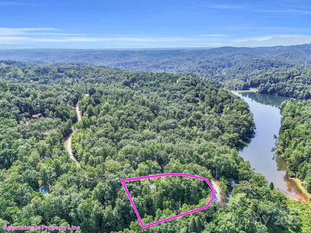 a view of a lush green field with a building in the background