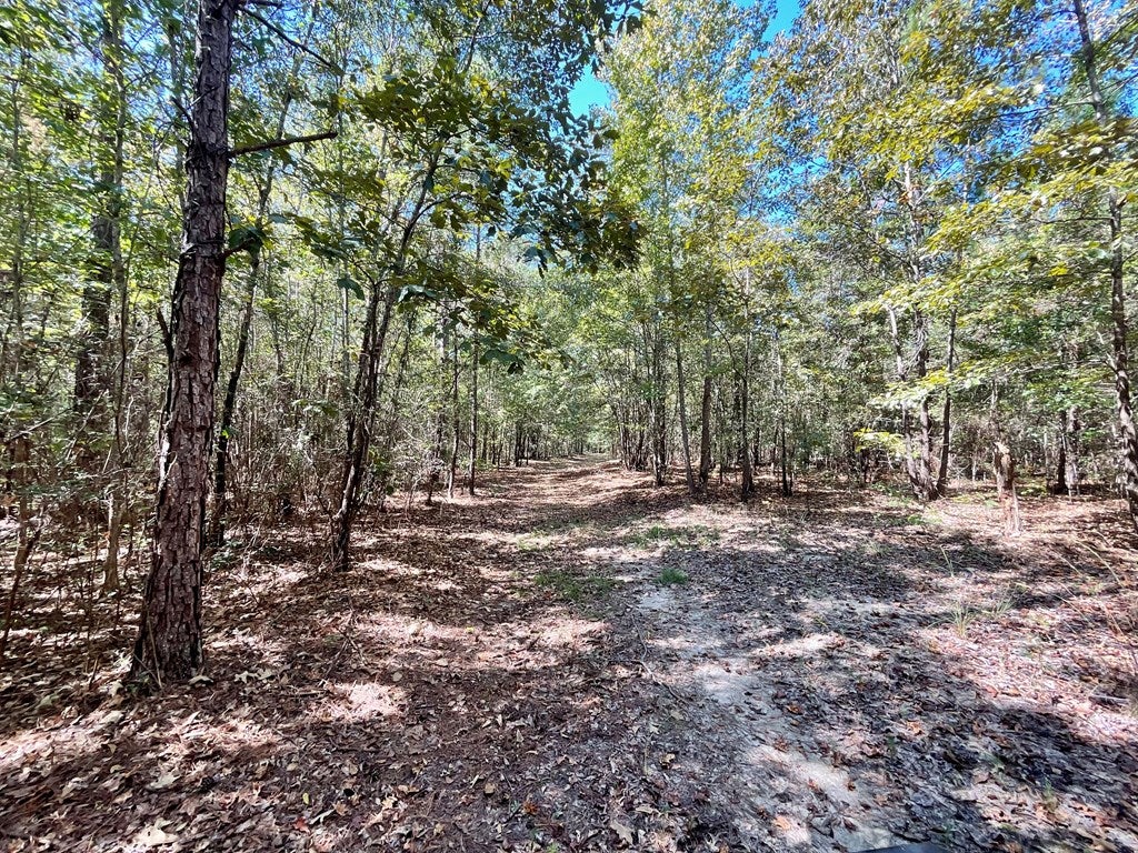 88 Wheeler Rogers Road Rupert, GA 31081 - Photo 24 of 73 Gallery Image 24