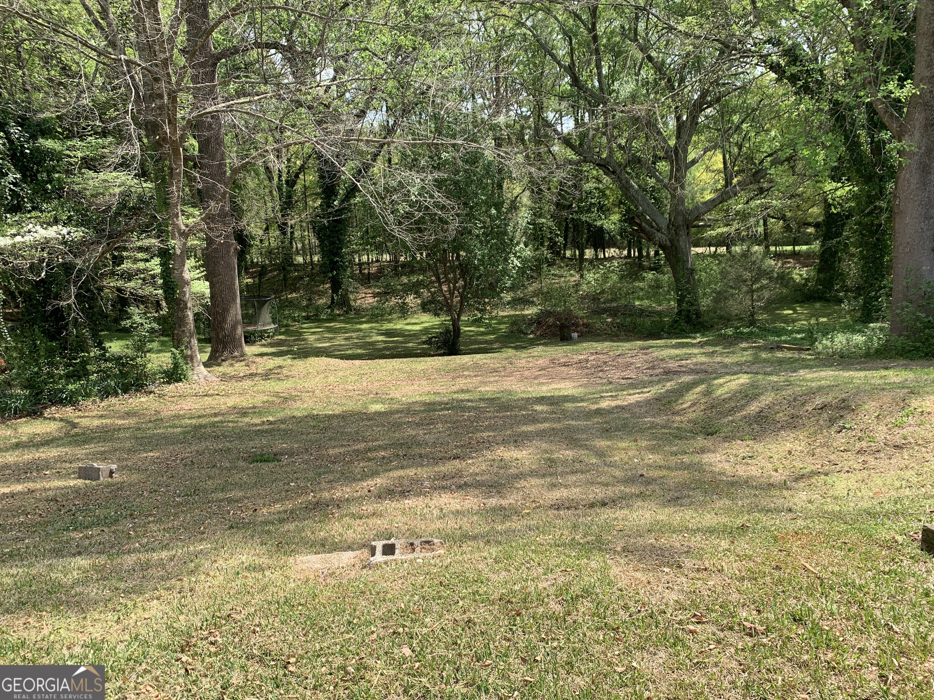 10170 Lavonia Road Carnesville, GA 30521 - Photo 41 of 41 Back Yard