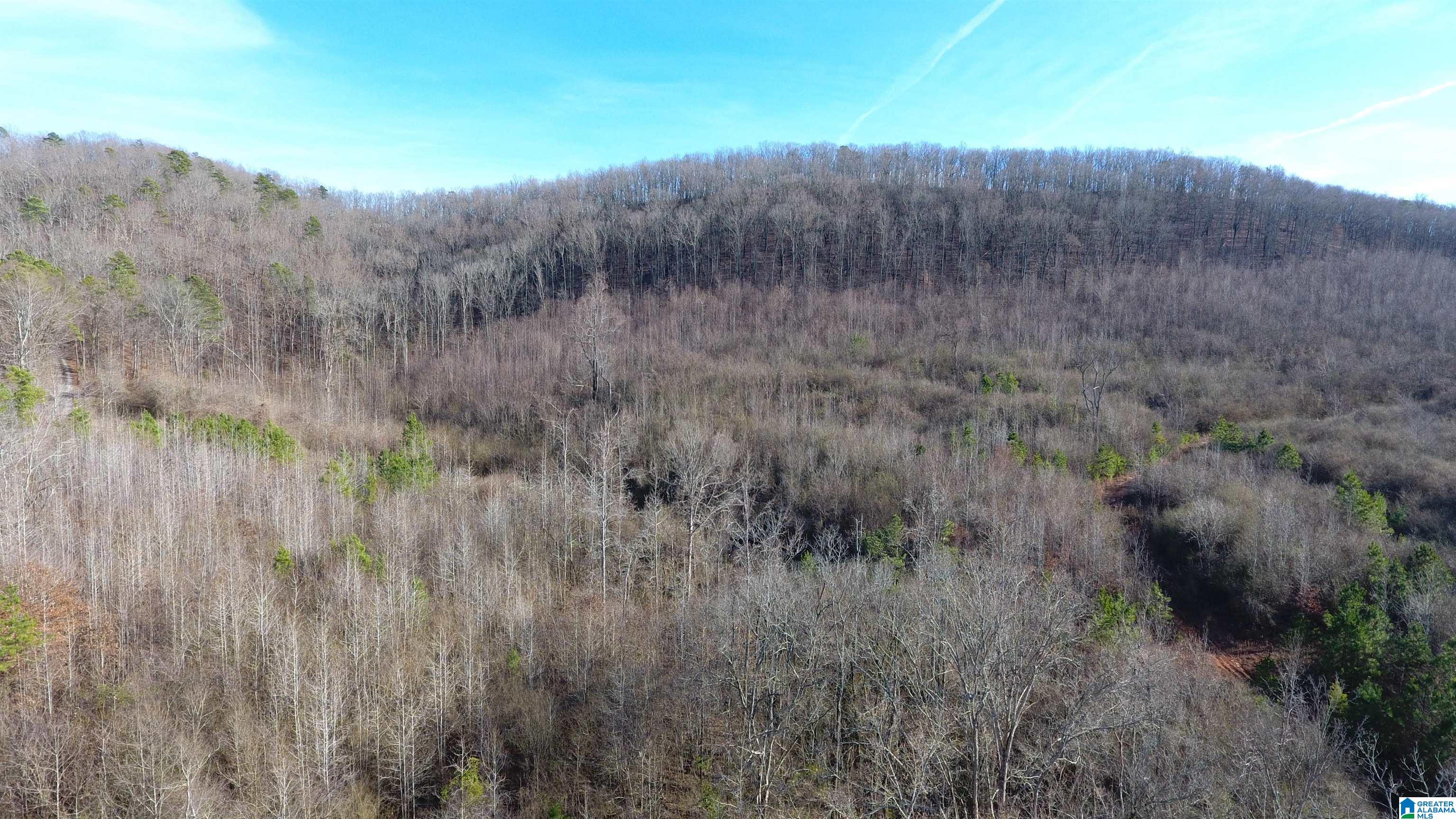 8455 Clayton Road Trussville, AL 35173 - Photo 20 of 65
