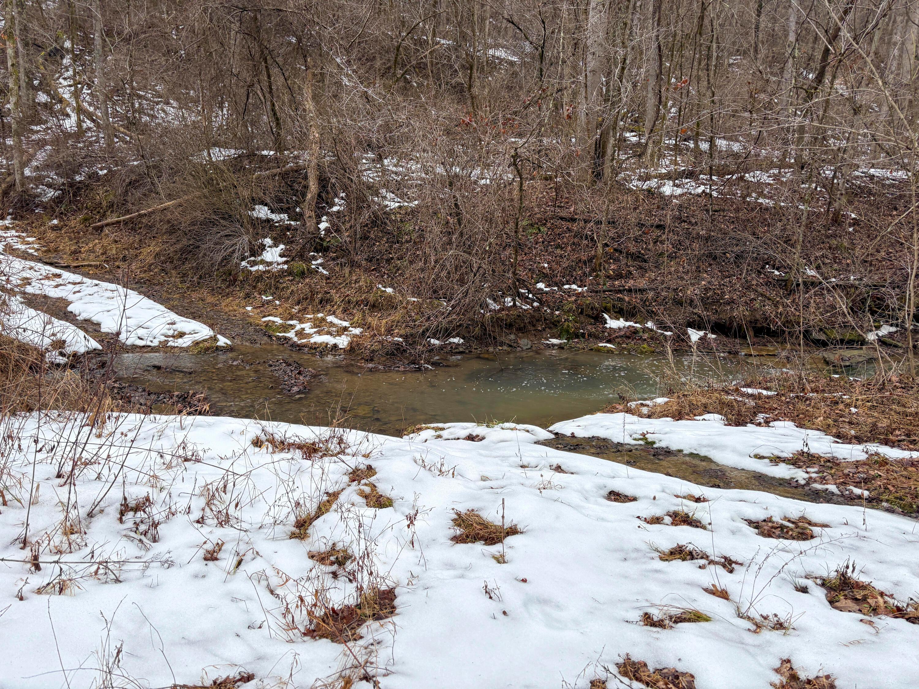4 Twp Road Woodsfield, OH 43793 - Photo 16 of 31 Tract 4_TD-16
