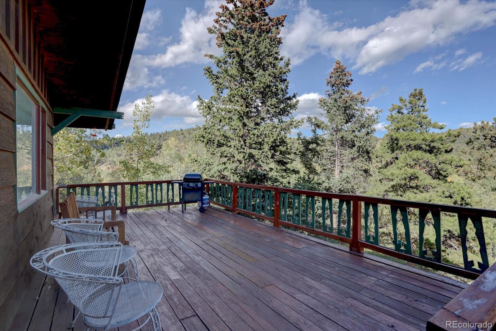 255 Saddlestring Road Bailey, CO 80421 - Photo 24 of 46