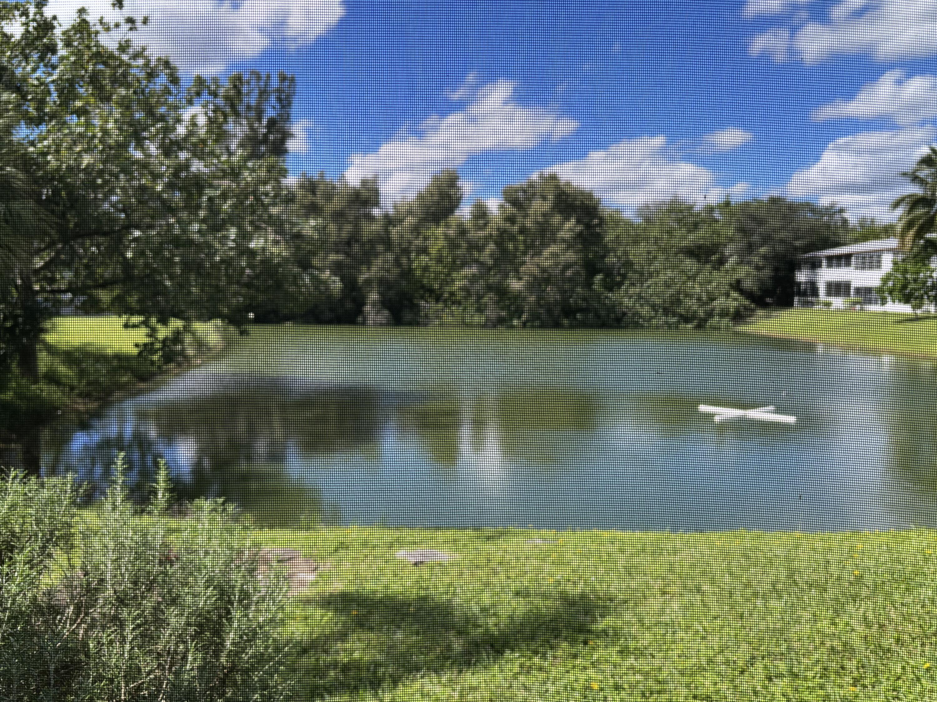 a view of a lake in between two of trees