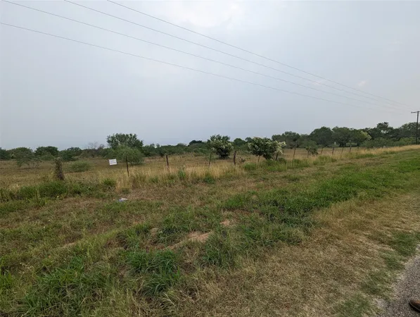 a view of a lush green forest with a lake view