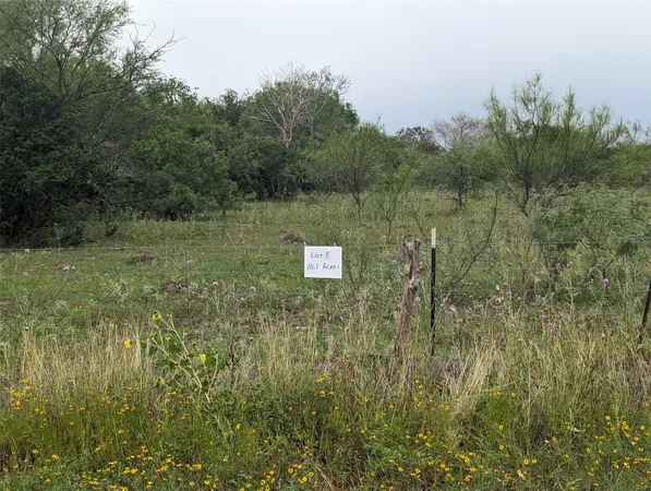 a view of a lake with a big yard