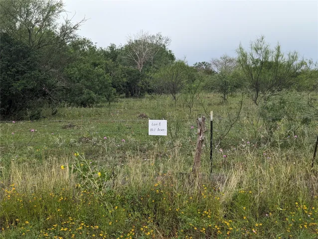 a view of a lake with a city