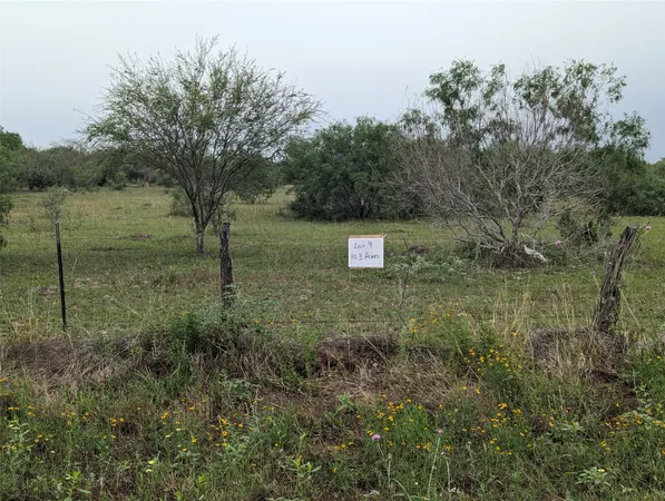 a view of a field with trees in background