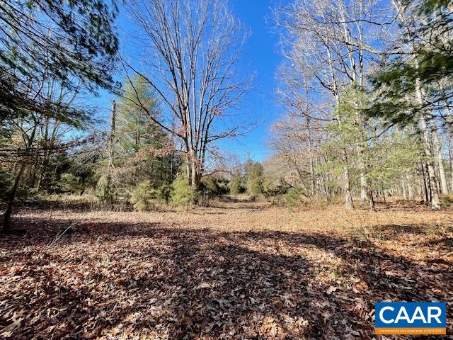 85-ac Red Brush Road Elkton, VA 22827 - Photo 8 of 13 Gallery Image 8