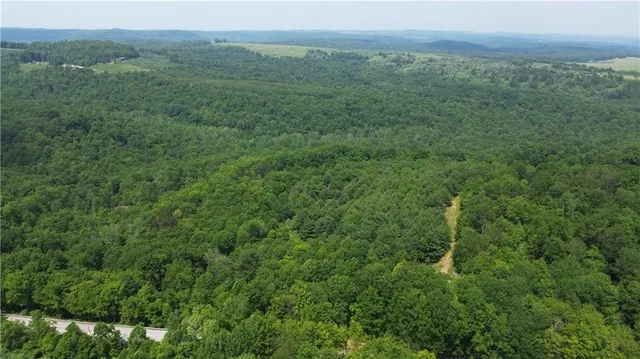 a view of a lush green forest with trees and some houses