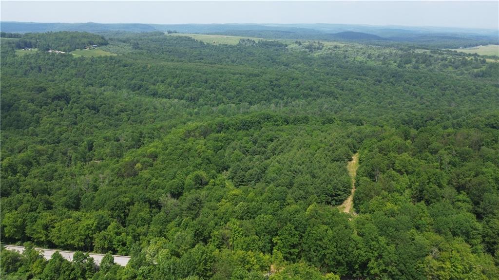 0 Glen Campbell Road Glen Campbell, PA 15742 - Photo 11 of 41 a view of a lush green forest with trees and some houses