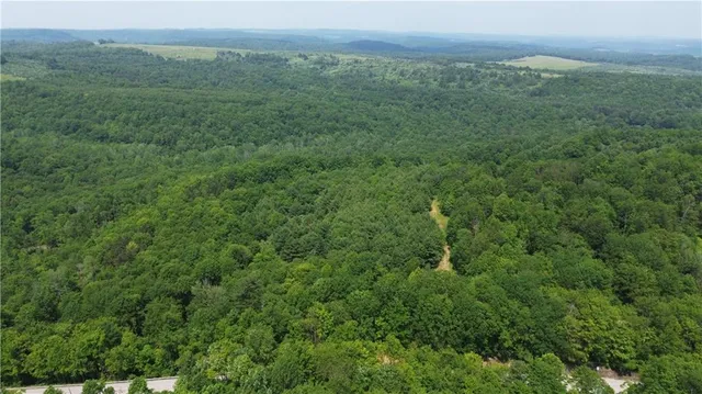 a view of a green field with lots of bushes