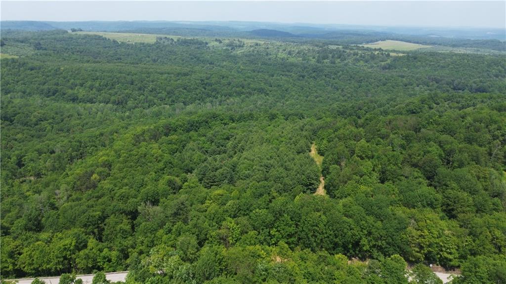 0 Glen Campbell Road Glen Campbell, PA 15742 - Photo 12 of 41 a view of a big yard with large trees
