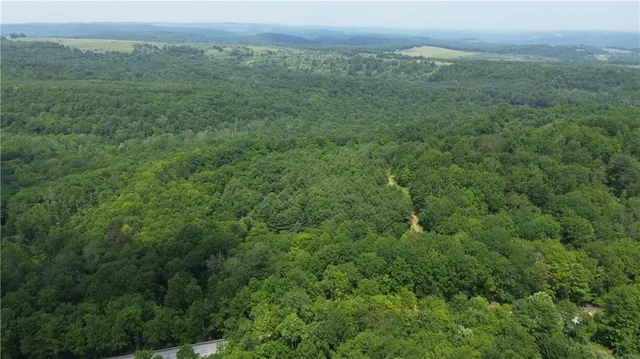 a view of a green field with lots of bushes