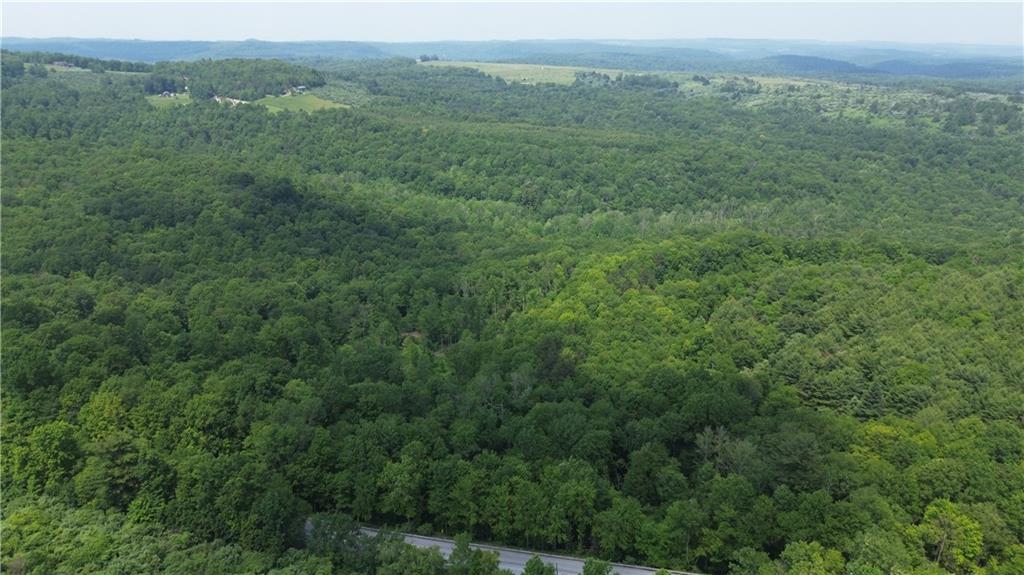 0 Glen Campbell Road Glen Campbell, PA 15742 - Photo 14 of 41 a view of a lush green forest with trees and some houses