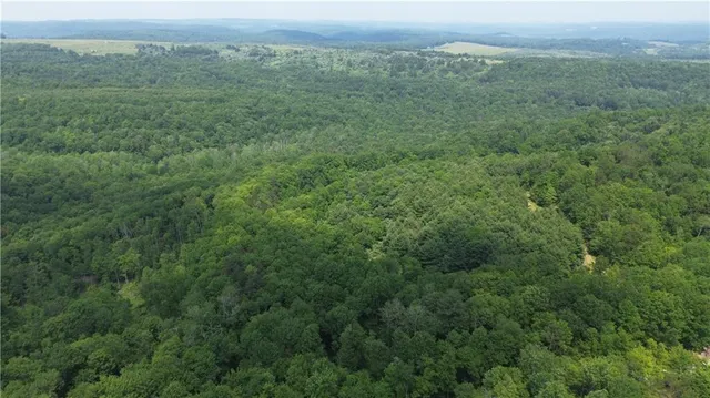 a view of a lush green forest with trees and some houses