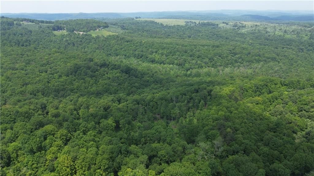 0 Glen Campbell Road Glen Campbell, PA 15742 - Photo 16 of 41 a view of a green field with lots of bushes