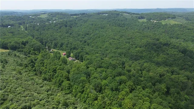 a view of a large yard with lots of green space