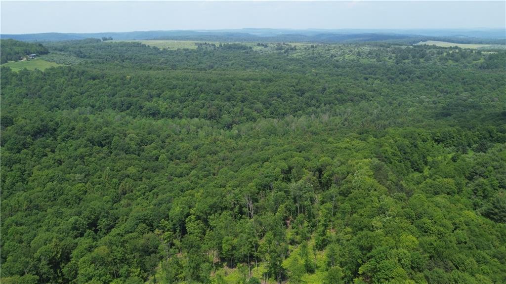 0 Glen Campbell Road Glen Campbell, PA 15742 - Photo 19 of 41