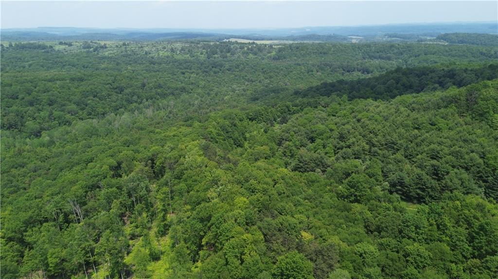 0 Glen Campbell Road Glen Campbell, PA 15742 - Photo 20 of 41 a view of a lush green forest with trees and some houses