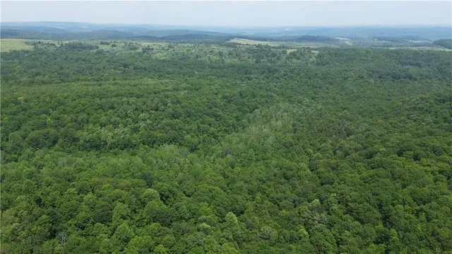 a view of a green field with lots of bushes