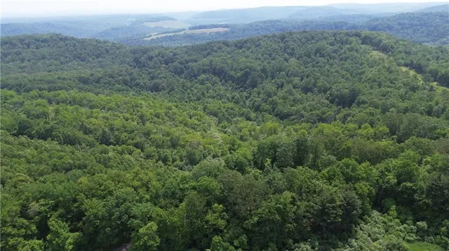 a view of a lush green forest with trees and some houses